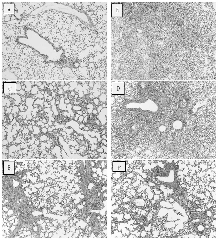 Traditional Chinese medicine extract composition for preventing and treating influenza as well as preparation method and application of traditional Chinese medicine extract composition