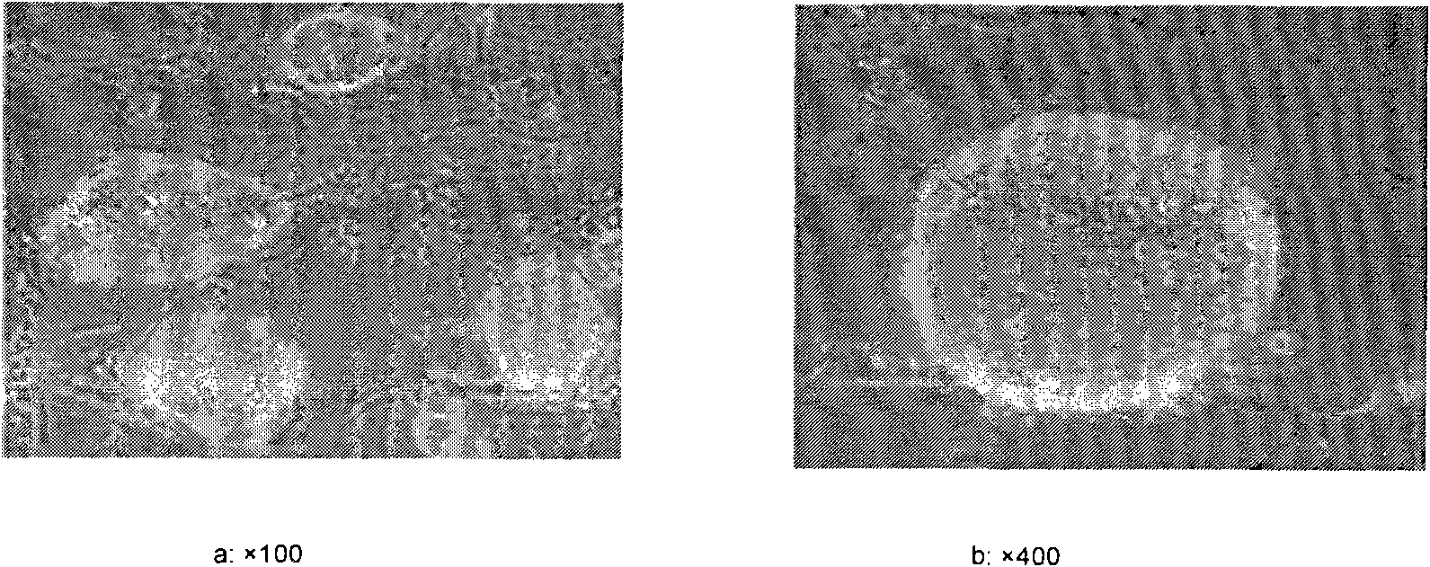 Method for inducing mouse embryonic stem cells to differentiate toward nerve cells