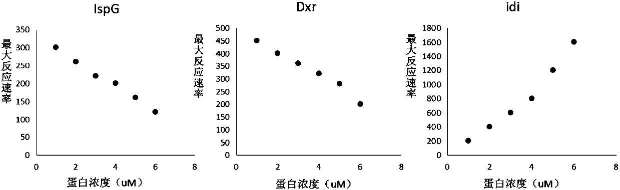 Microorganism and application thereof