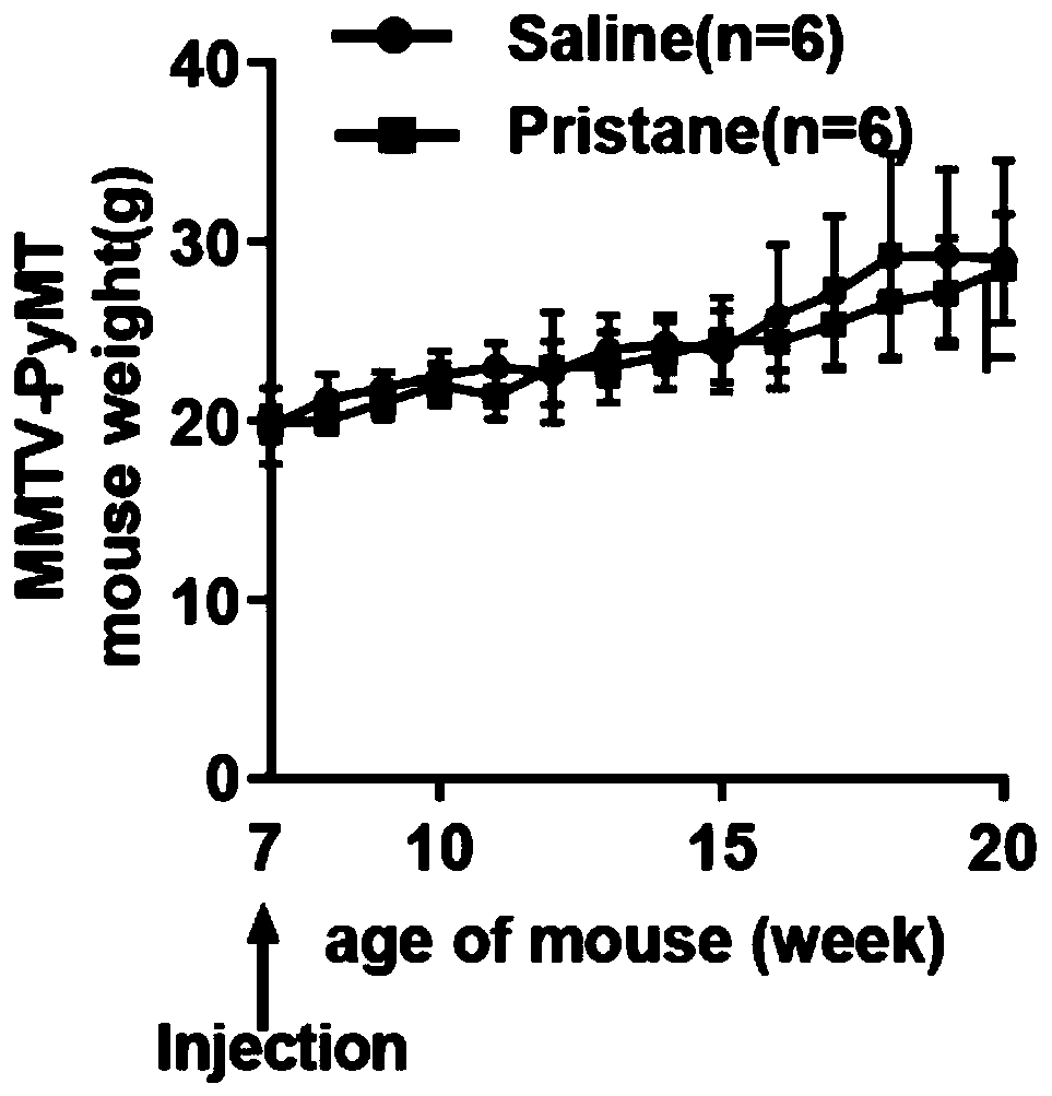 Application of alkane compound pristane as immunopotentiator in preparation of drugs for preventing and treating solid tumors