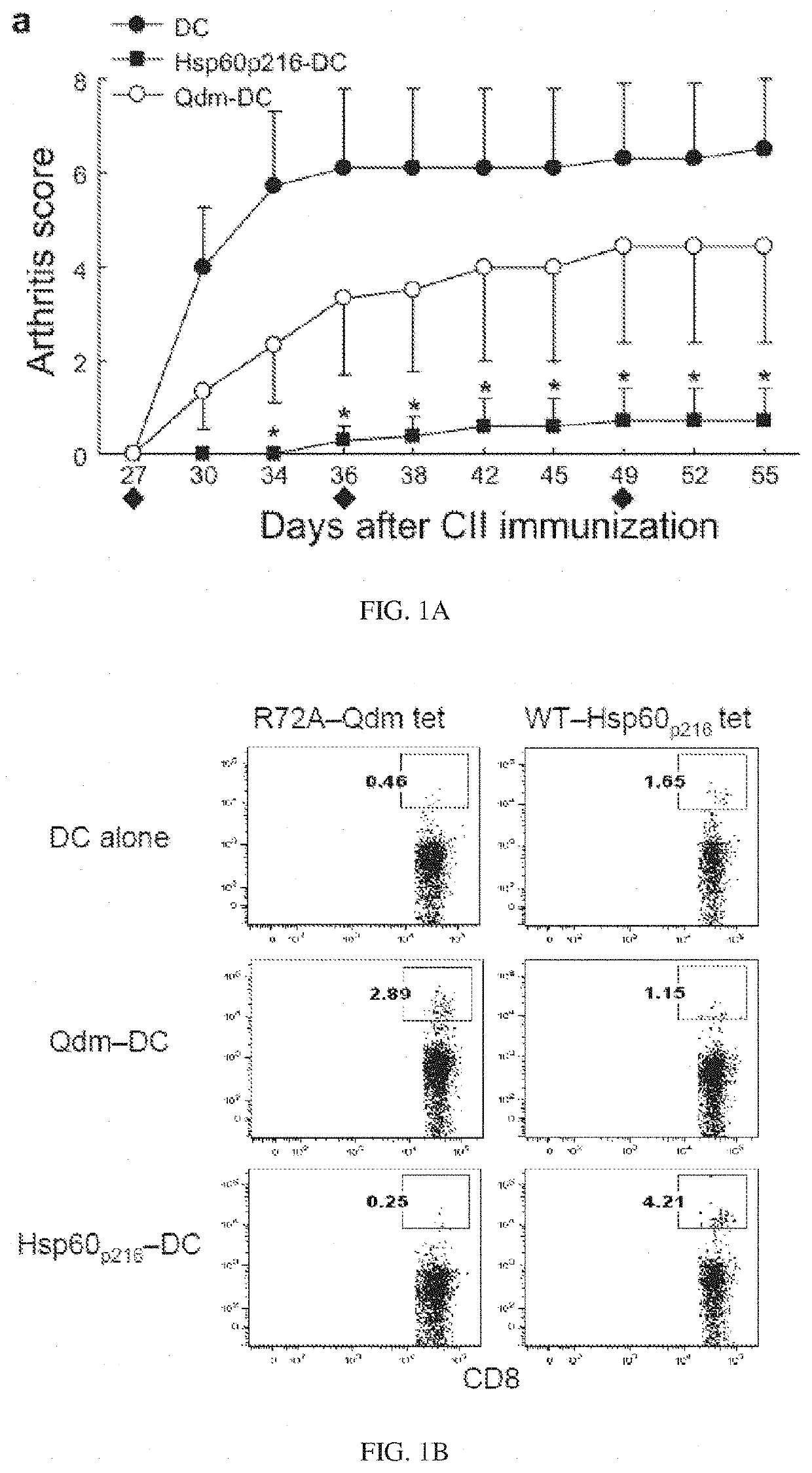 Targeted expansion of Qa-1-peptide-specific regulatory CD8 T cells to ameliorate arthritis