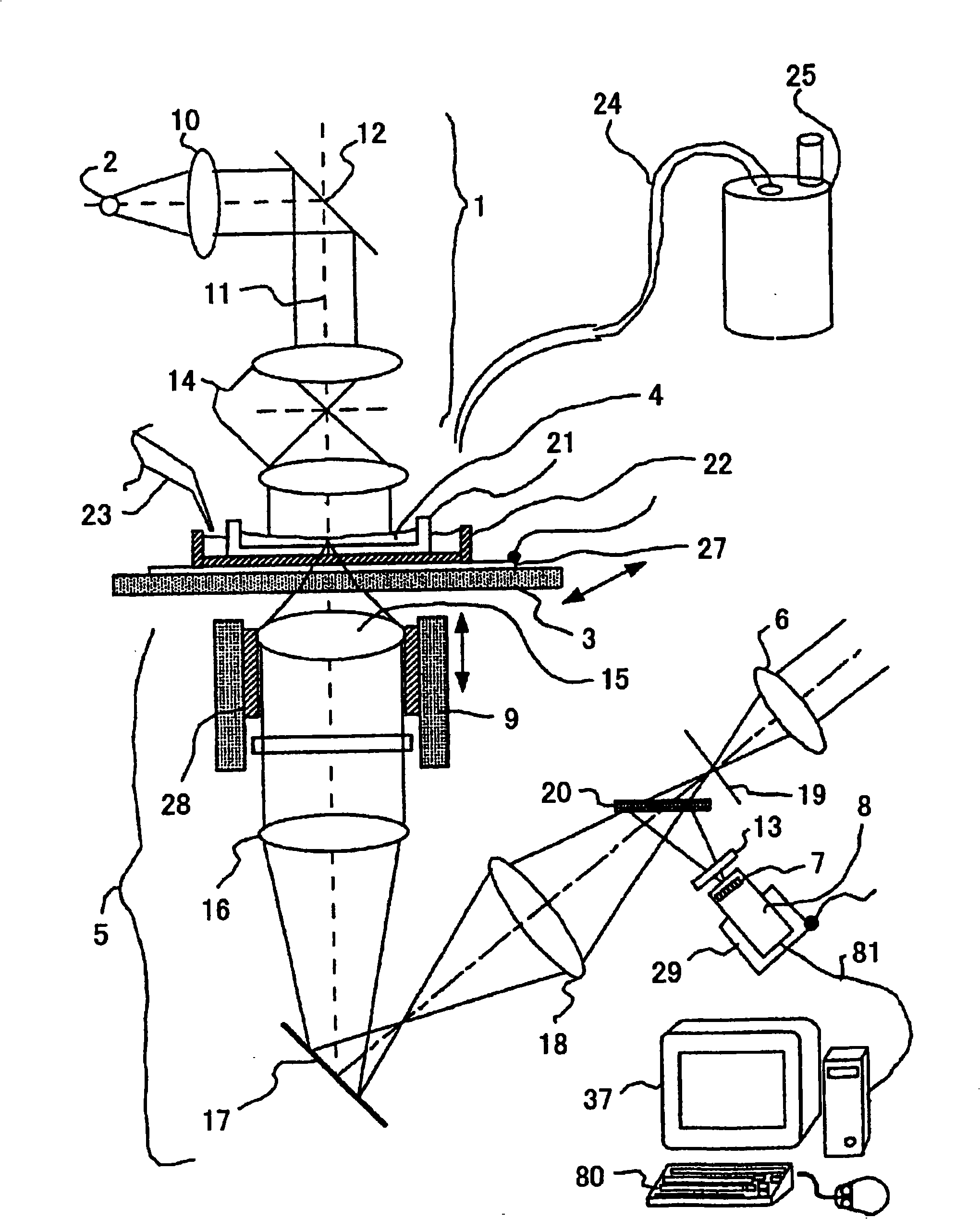 Device and method for capturing image of a sample originating from organism