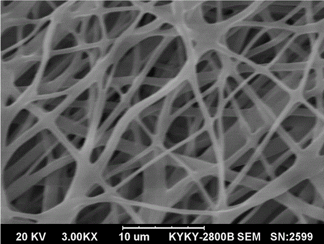 Poly(L-lactide-co-epsilon-caprolactone)nano-fiber nerve conduit and preparation method thereof