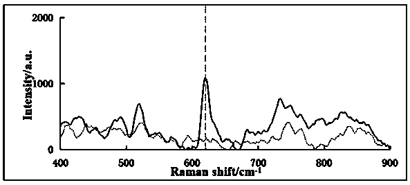 Surface-enhanced Raman rapid detection method for rhodamine B in chili powder chili oil