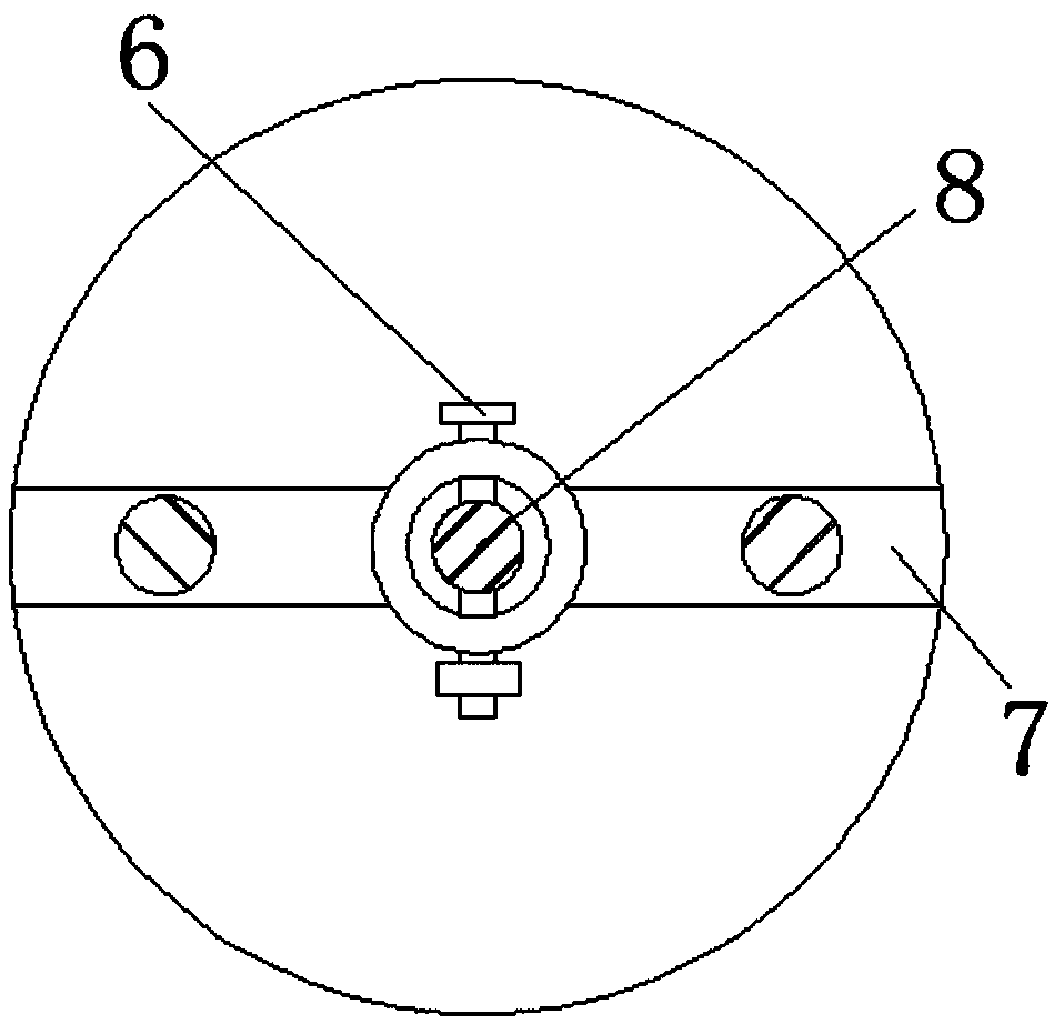 Tea leaf processing device with screening function