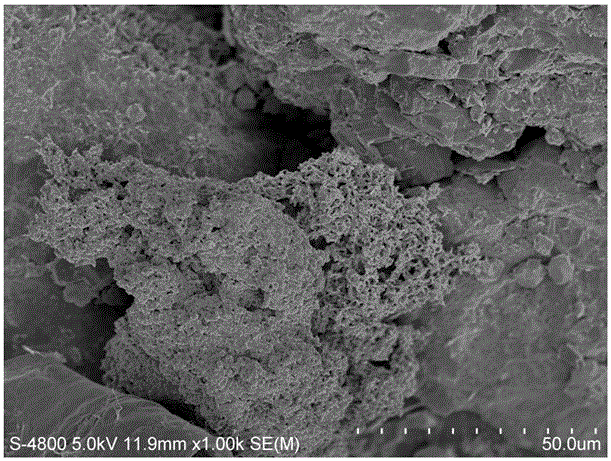 Compound microorganism profile control bacterium agent as well as preparation method and application thereof