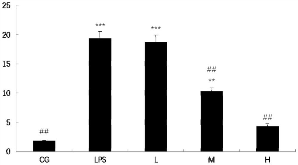 Application of lactobacillus rhamnosus in relieving intestinal inflammation