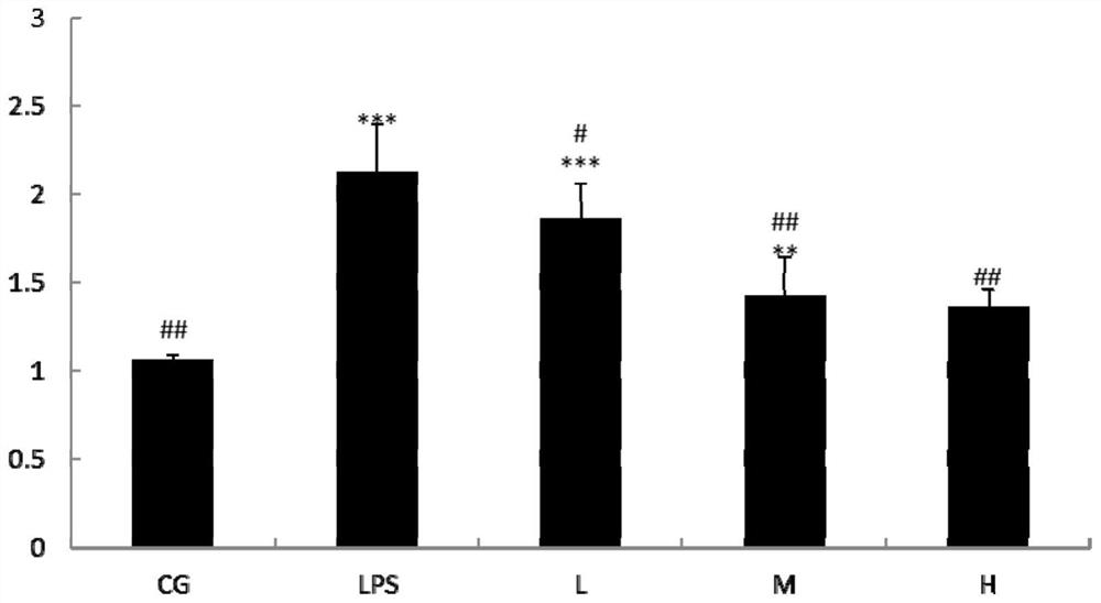 Application of lactobacillus rhamnosus in relieving intestinal inflammation