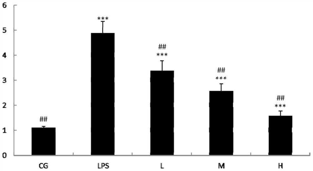 Application of lactobacillus rhamnosus in relieving intestinal inflammation