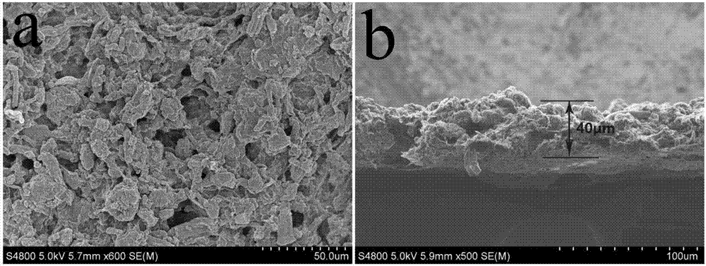 Positive electrode material for flexible lithium-sulfur battery