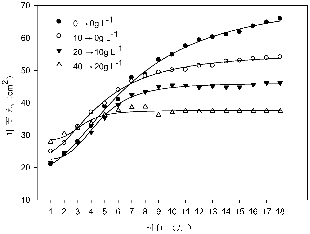 A Method of Formulating Crop Irrigation Strategy Based on Leaf Area Growth Model