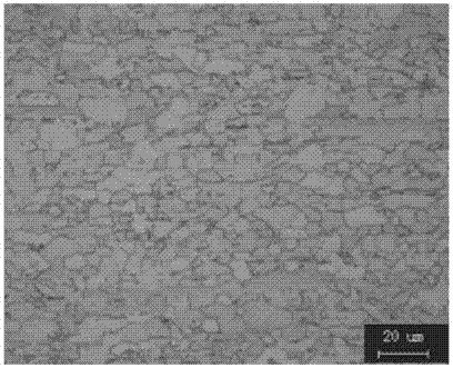 Electroplated tin steel plate for beverage can and production method of electroplated tin steel plate