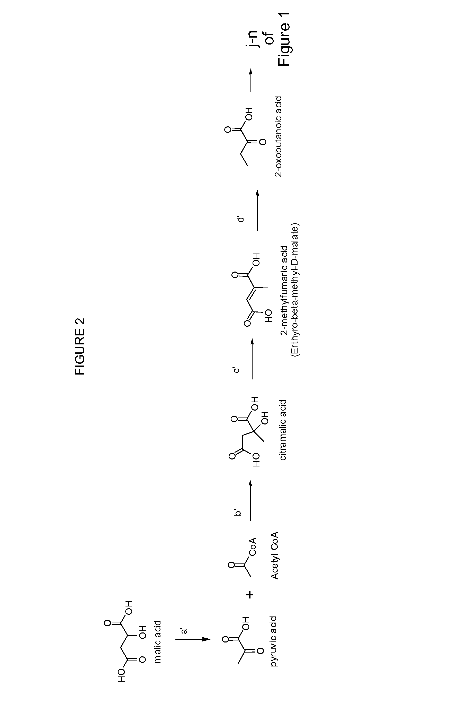 Methylbutanol as an advanced biofuel