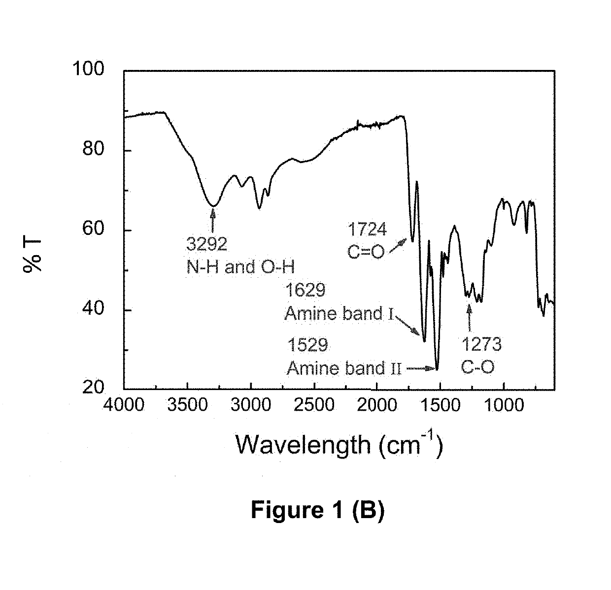 Poly(l-lysine isolphthalamide) (PLP) polymers with hydrophobic pendant chains