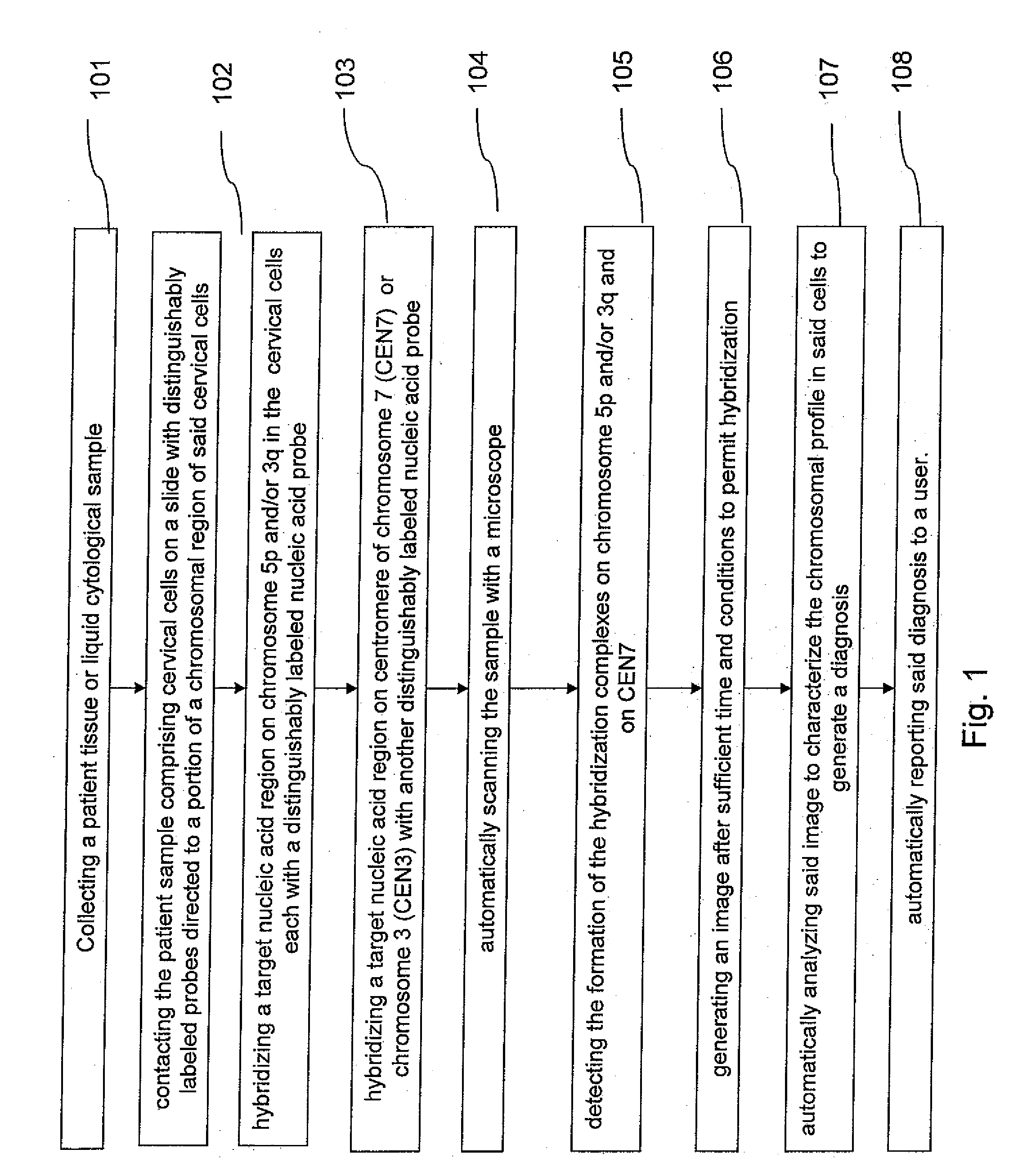 Method and system for automated image analysis in cancer cells