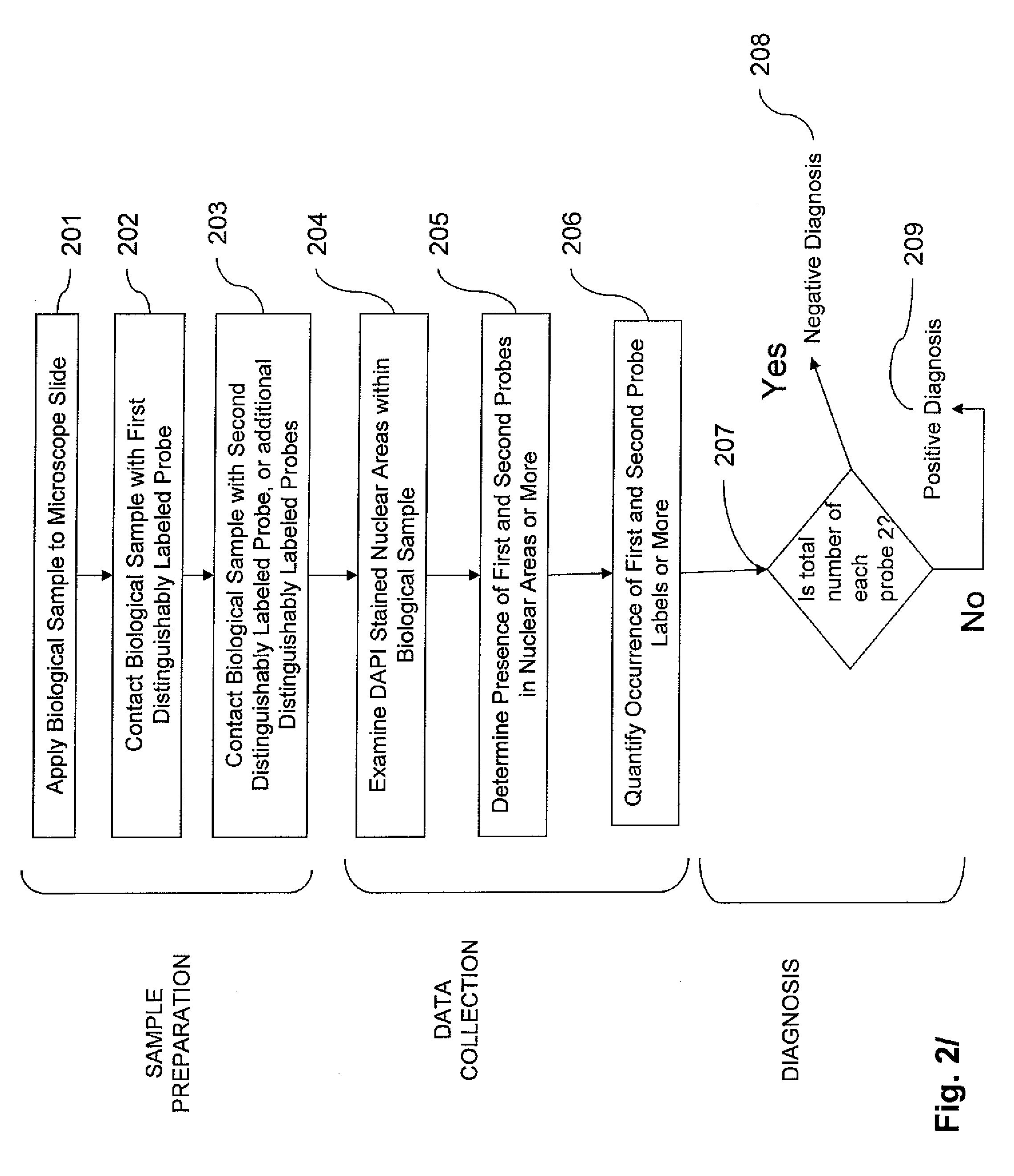 Method and system for automated image analysis in cancer cells