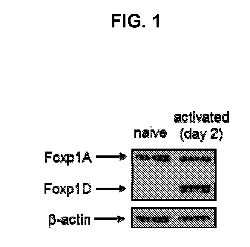 Methods and Compositions for Manipulating the Immune System