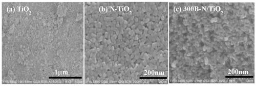 Preparation method and application of boron-nitrogen co-doped titanium dioxide photocatalyst