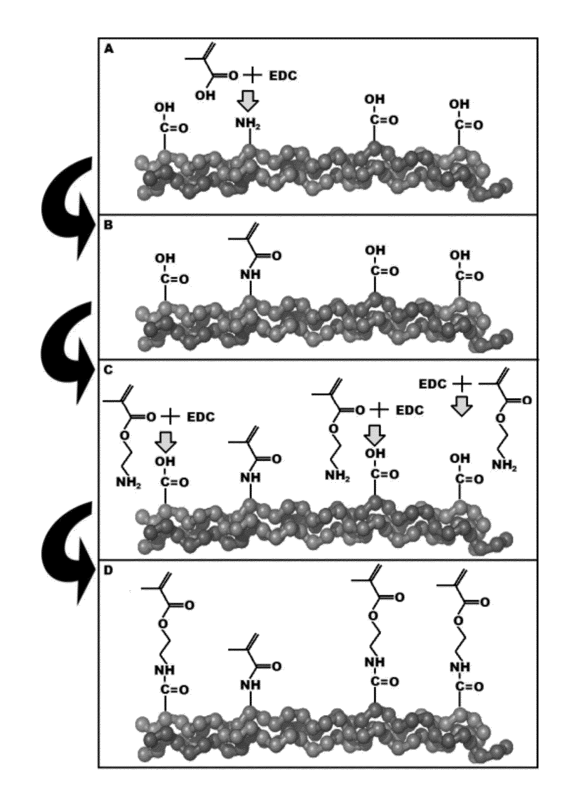 Process for the synthesis of methacrylate-derivatized type-1 collagen and derivatives thereof