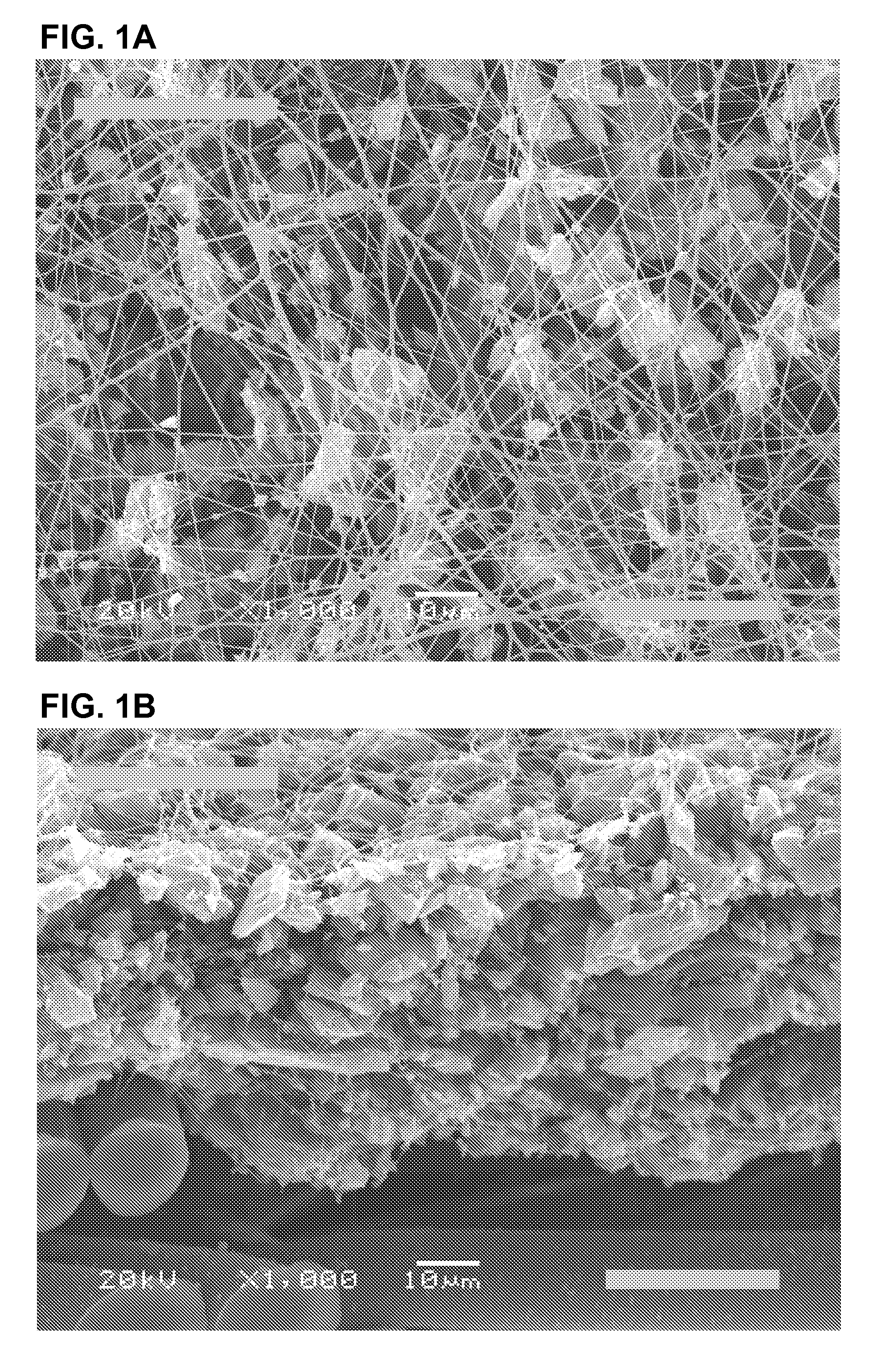 Web comprising fine fiber and reactive, adsorptive or absorptive particulate