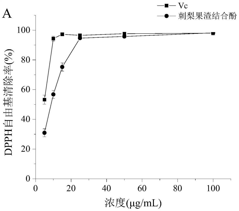 Roxburgh rose pomace combined phenol with remarkable antioxidant activity as well as preparation method and application thereof
