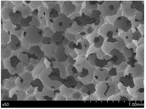 Porous biological piezoelectric ceramic and preparation method thereof