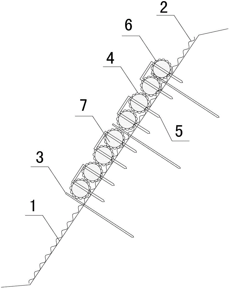 Protecting structure and protecting method used for greening high-steep rock slope