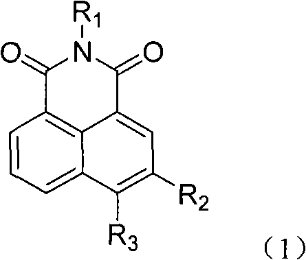 5- or 6-substited naphthoyl imines compounds and antineoplastic application