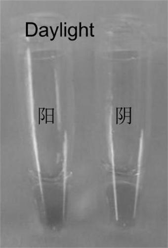 Lamp detection primer set, lamp detection kit and detection method of transgenic insect-resistant soybean mon87701 and its derivatives