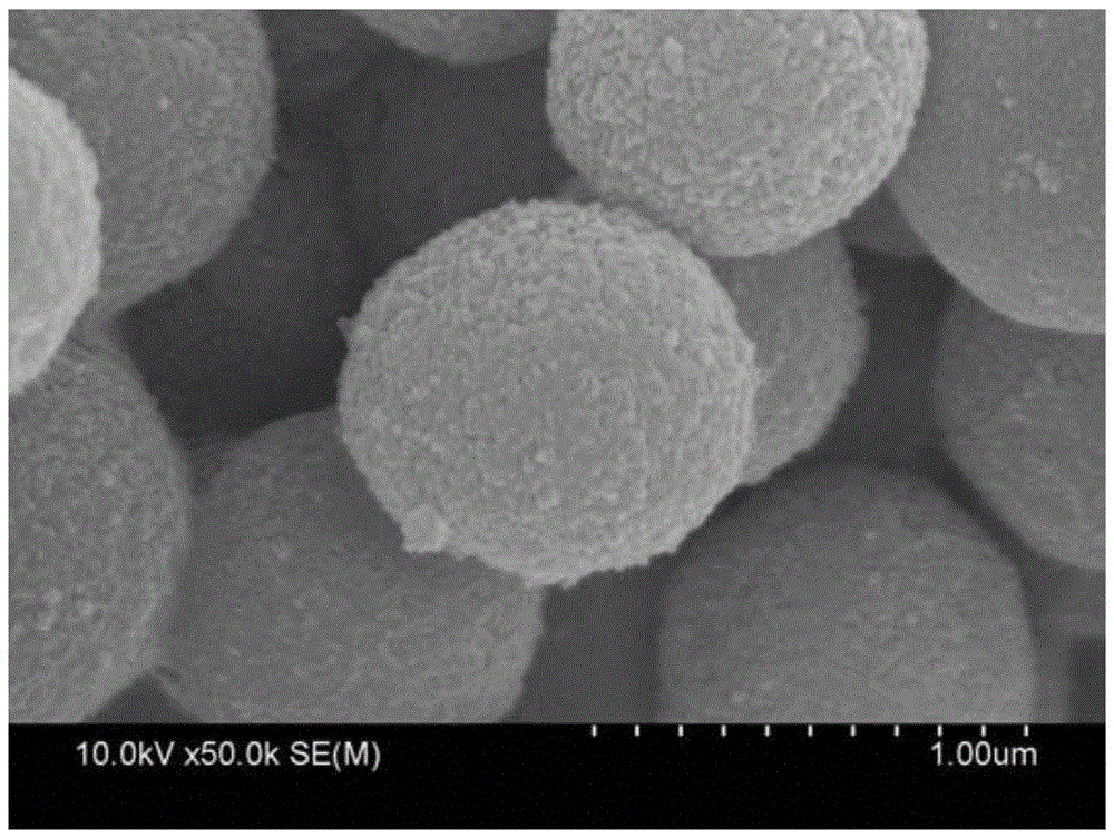 Preparation method of litchi-like hierarchical-structure {001}-surface-exposed TiO2 powder