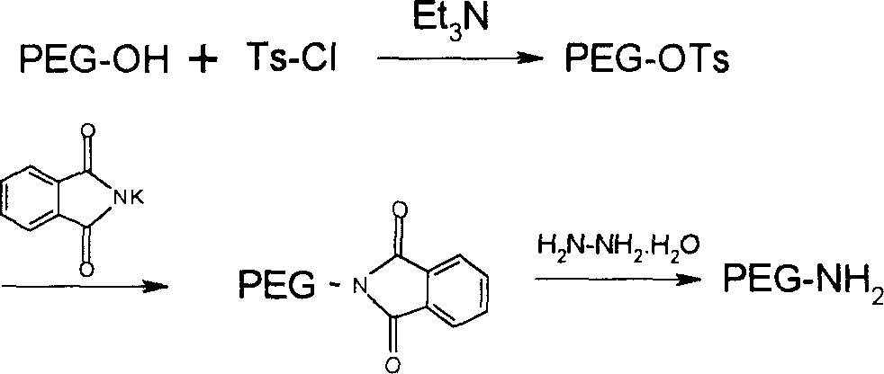 Active fragment of thymosin alphal and its polyethylene glycol derivatives