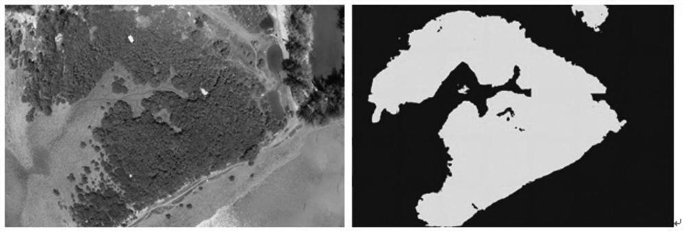 Mangrove forest ecological information intelligent extraction method based on unmanned aerial vehicle