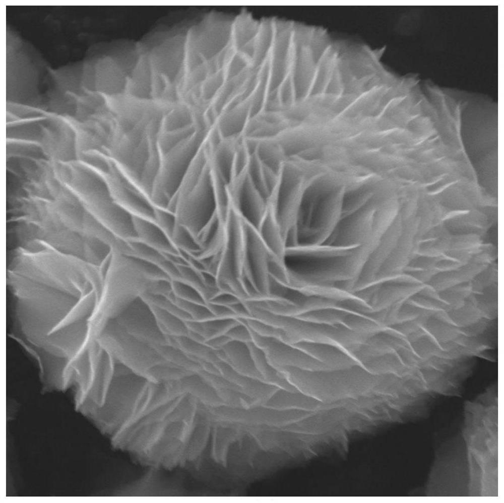 A kind of preparation method of negative electrode material of lithium ion battery