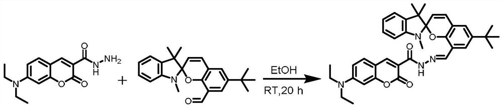 Preparation method of ph ratio fluorescent probe sp-dcch and its application in biological imaging