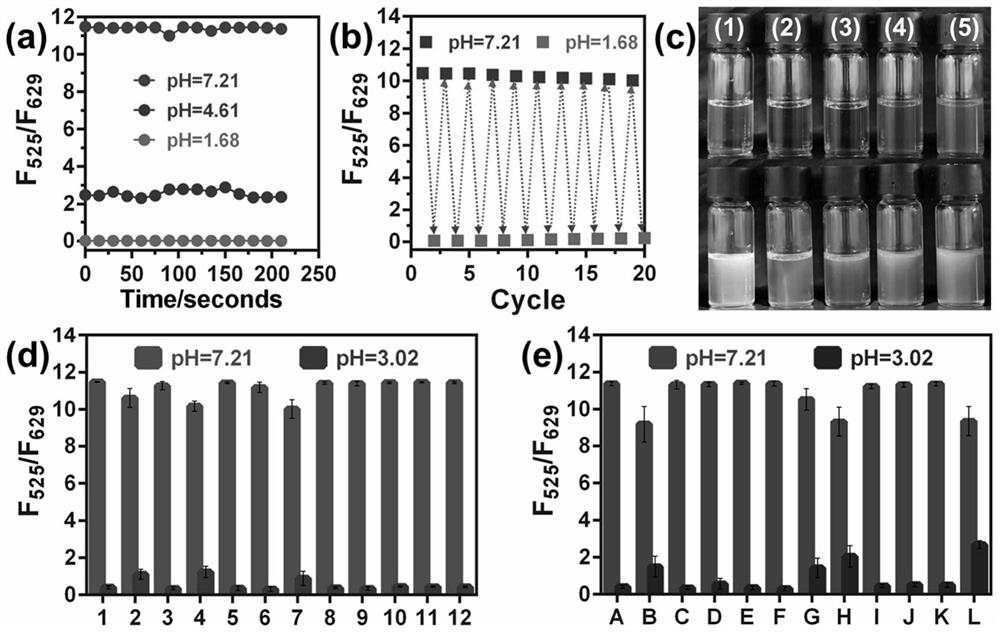 Preparation method of ph ratio fluorescent probe sp-dcch and its application in biological imaging