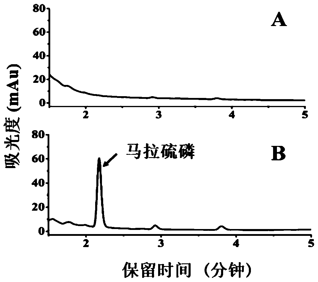 Application of insect detoxification enzyme protein for degrading organophosphorus pesticide