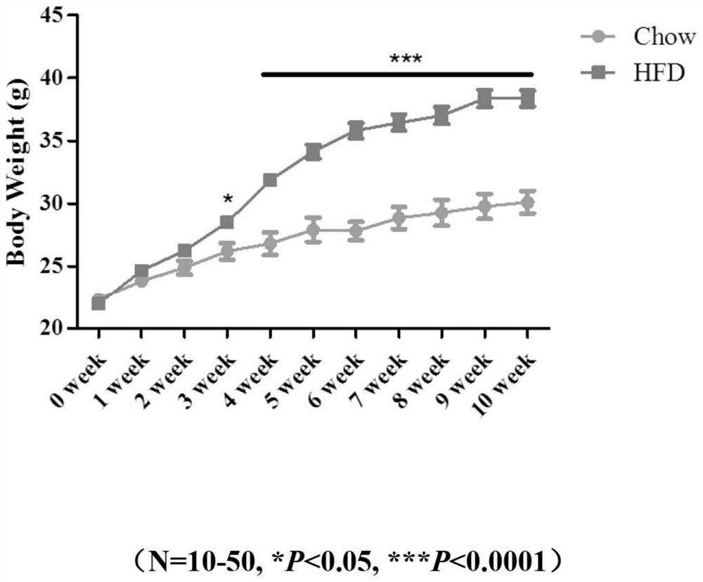 Pharmaceutical composition for treating metabolism-related fatty liver disease as well as preparation method and application thereof