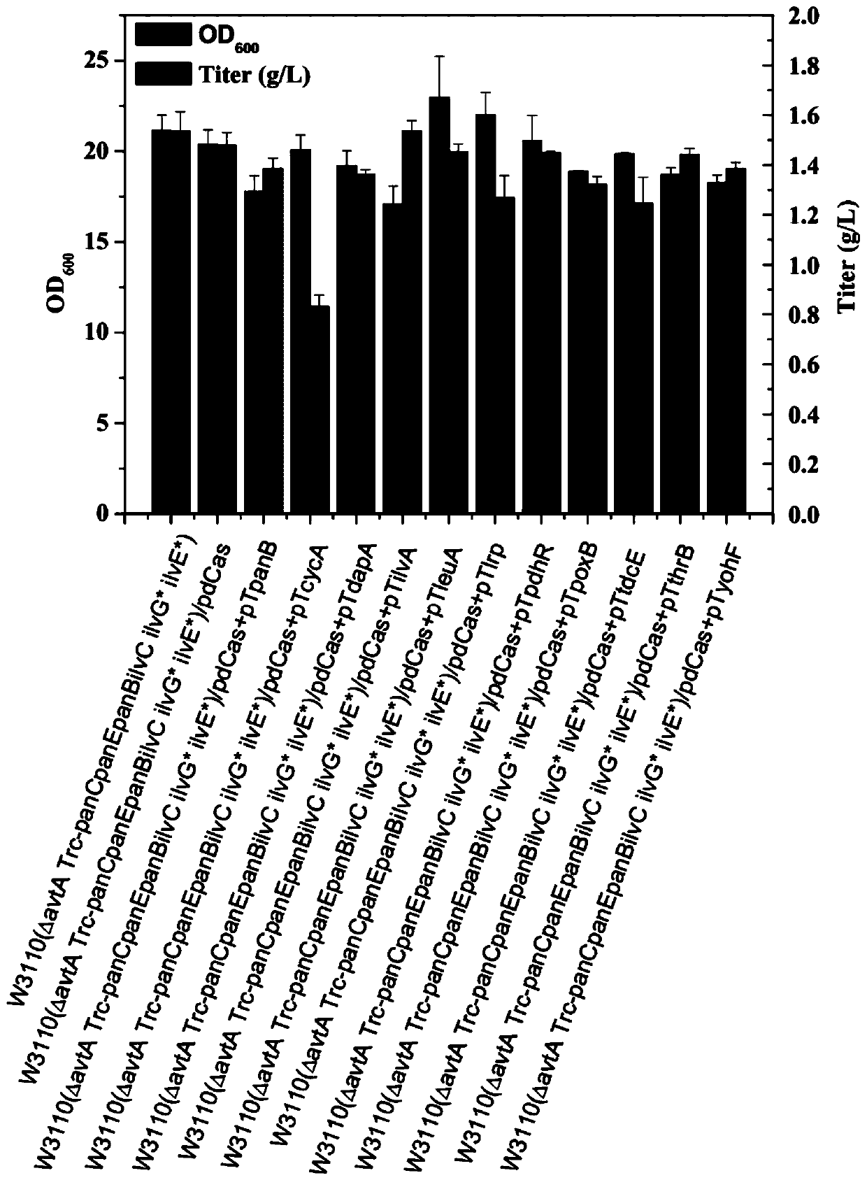 Genetically engineered bacteria, construction and application of high-yielding pantothenic acid without the addition of β-alanine