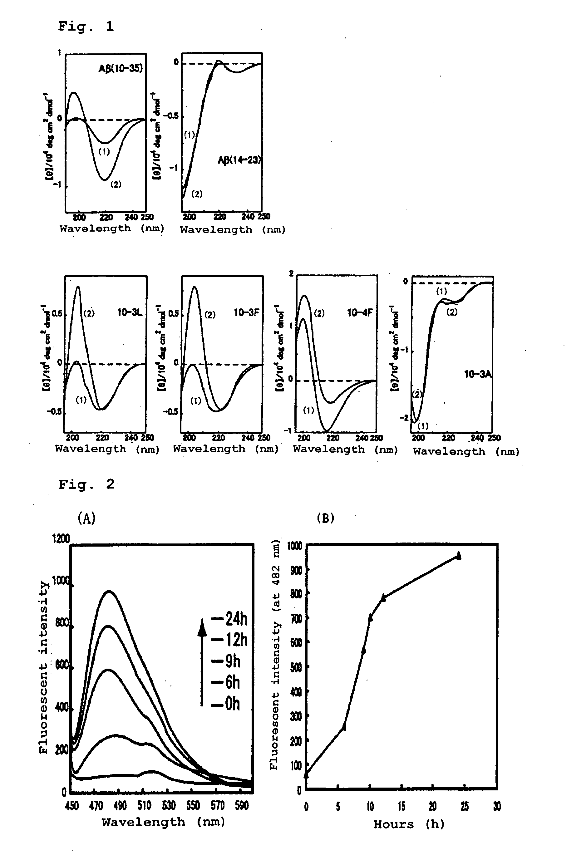 Reagent for amplifying amyloid fibrosis of amyloid ss-protein