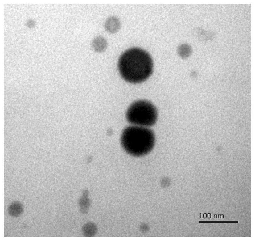 Chitosan nano-selenium particles, preparation method thereof and application of chitosan nano-selenium particles in vaccines