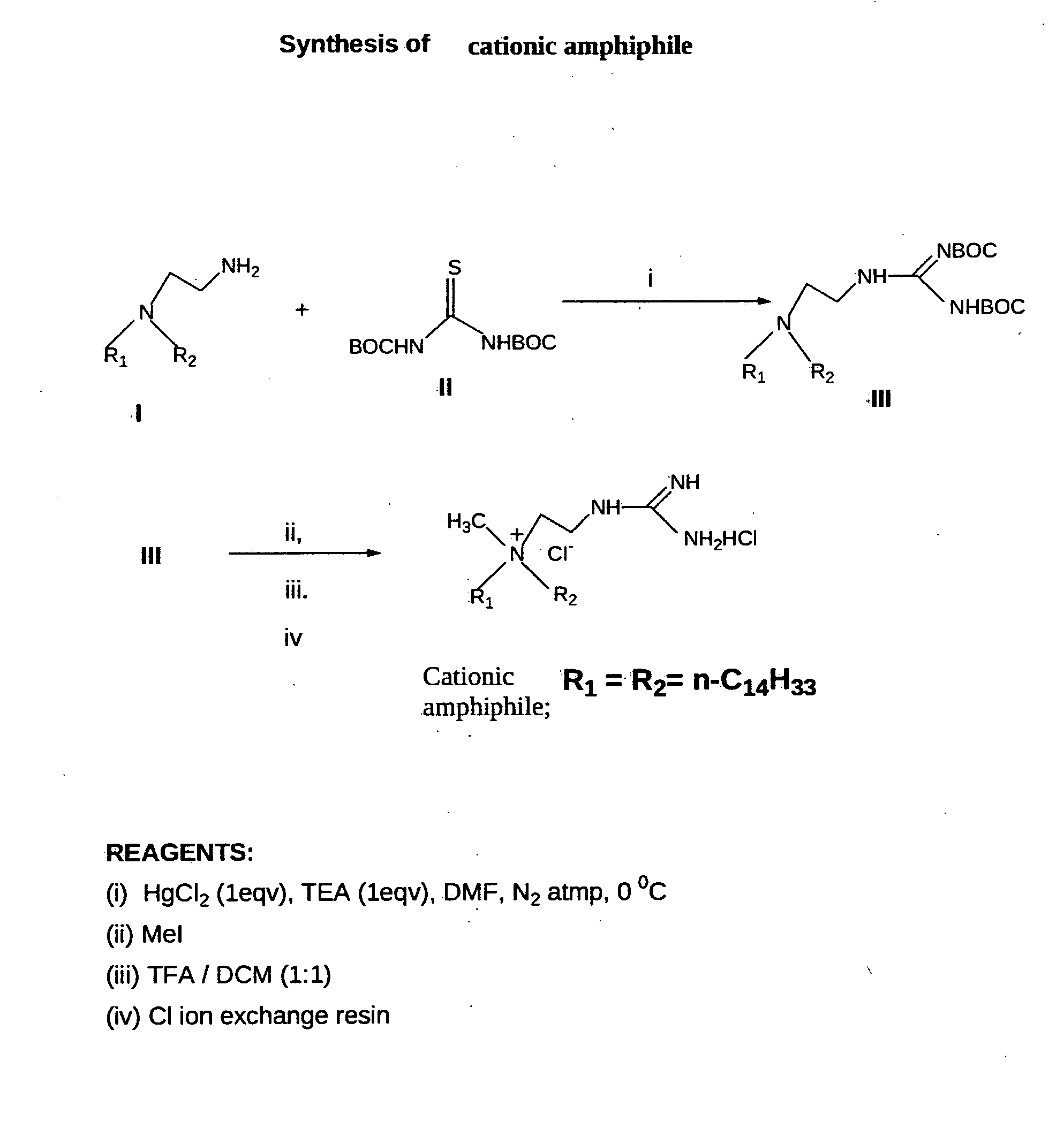 Amphoteric liposomal compositions for cellular delivery of small RNA molecules for use in RNA interference