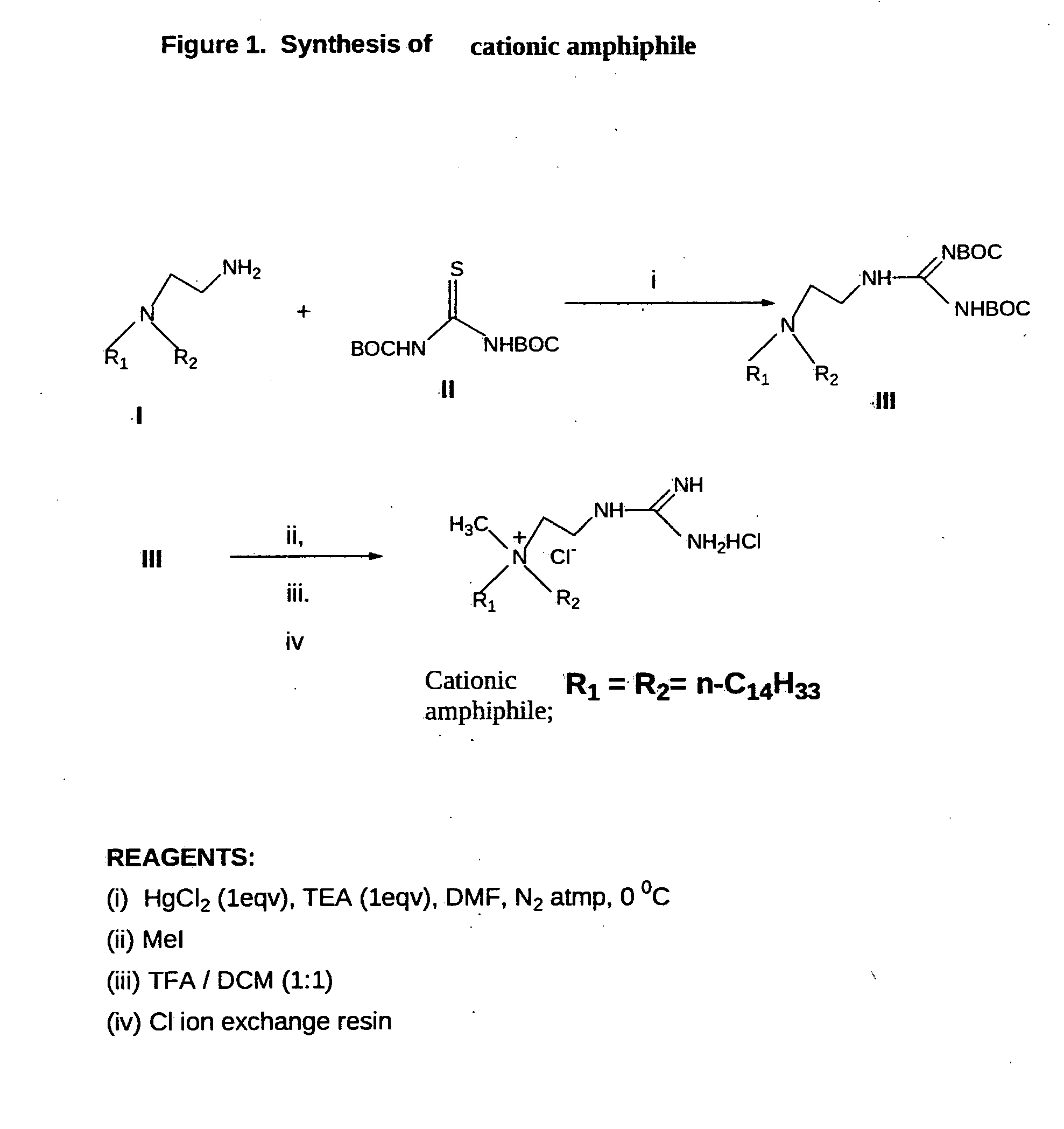 Amphoteric liposomal compositions for cellular delivery of small RNA molecules for use in RNA interference