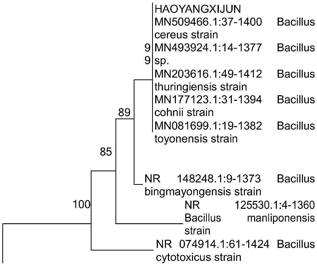 Characteristics of bacteria for degrading glyphosate