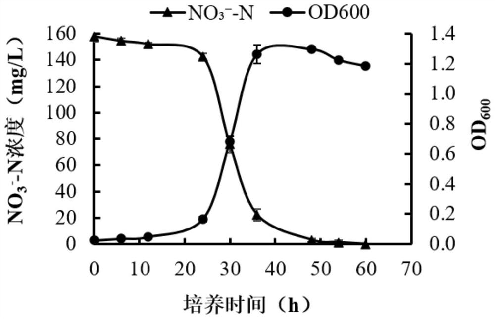 A kind of sea bacillus with denitrification function and its application