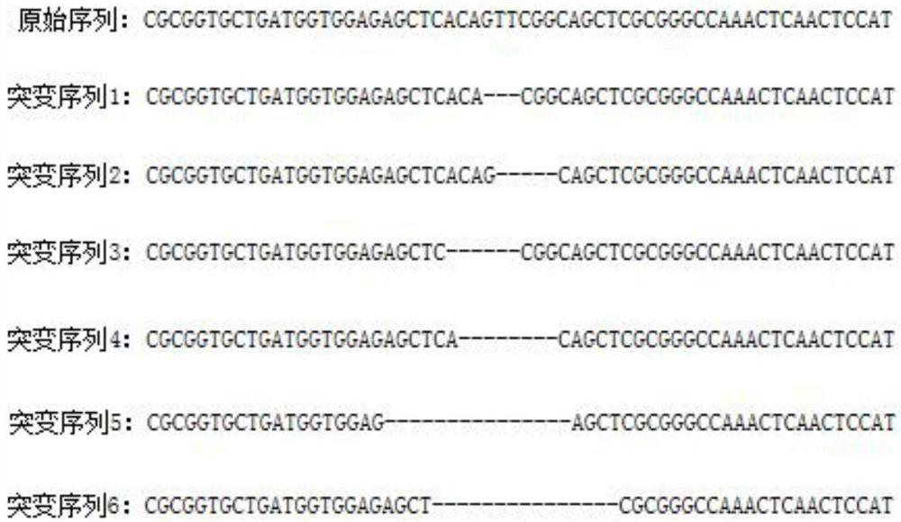 A kind of crispr/cas gene editing system and its preparation method and application