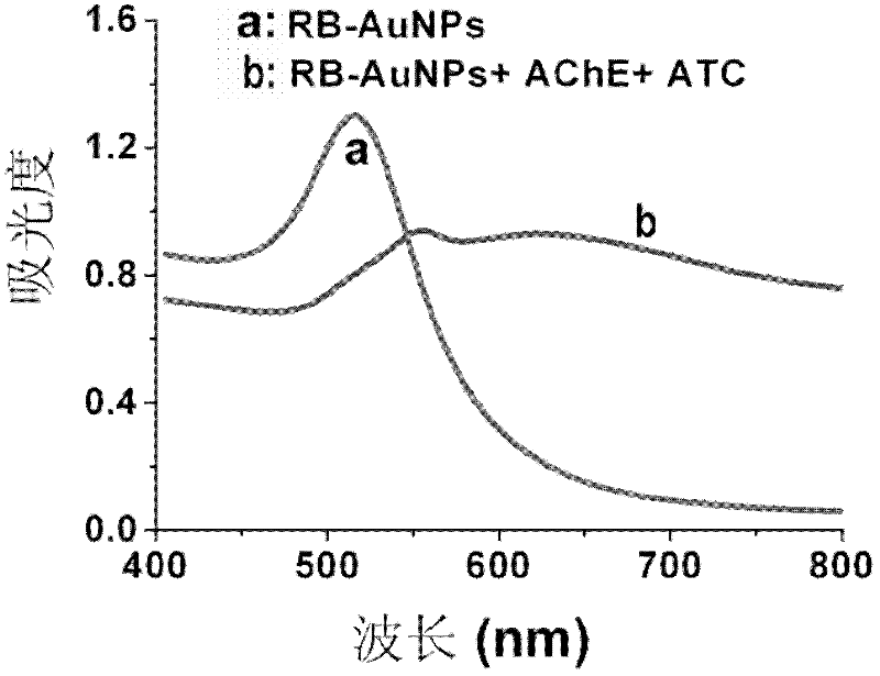 Reagents for detecting AChE (acetylcholinesterase) and preparation method thereof