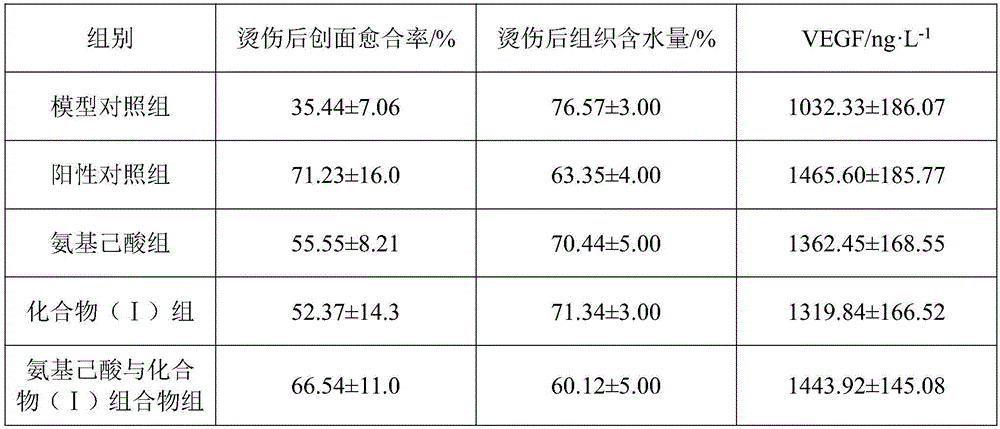 Aminocaproic acid medicine composition and pharmaceutical application thereof