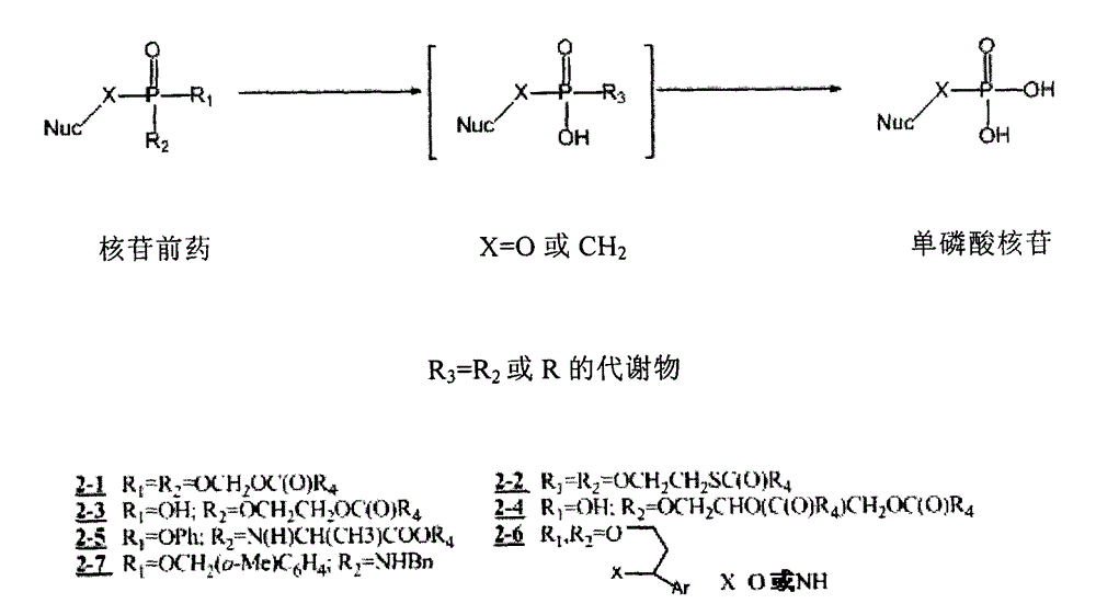 D-amino-acid ester-containing nucleoside amino phosphonate derivative and medical purpose thereof