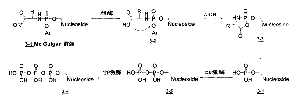 D-amino-acid ester-containing nucleoside amino phosphonate derivative and medical purpose thereof