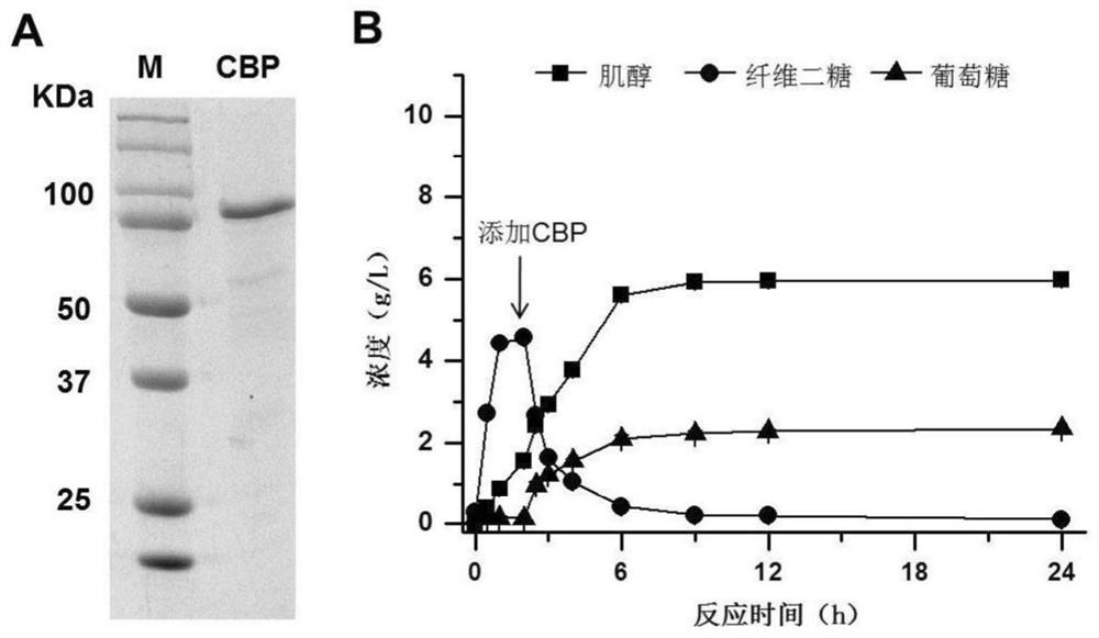 A method for producing inositol by complete phosphorylation of cellulose